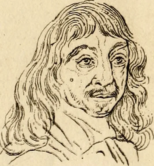 An illustration from Essays on physiognomy; calculated to extend the knowledge and the love of mankind, 1797, leaf 280