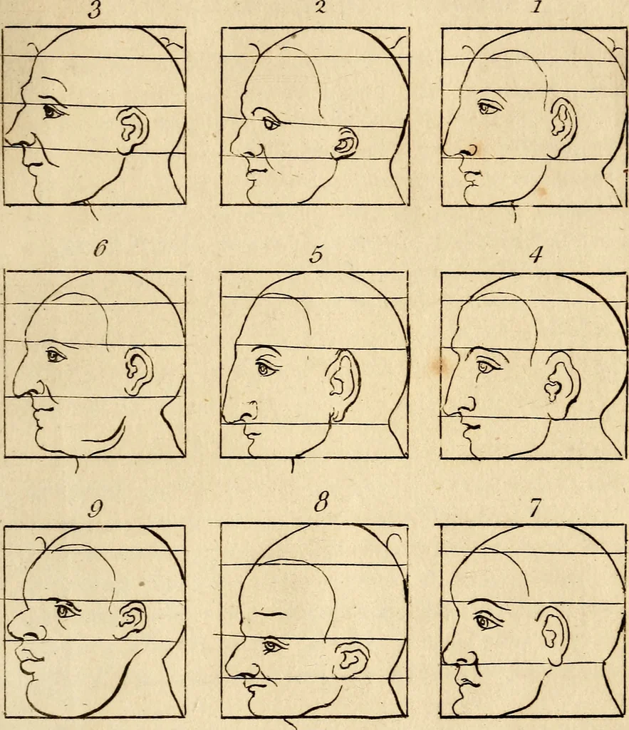 An illustration from Essays on physiognomy; calculated to extend the knowledge and the love of mankind, 1797, leaf 300