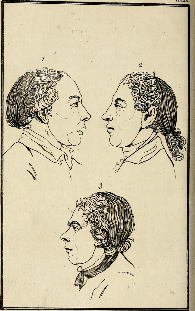 An illustration from Essays on physiognomy; calculated to extend the knowledge and the love of mankind, 1797, leaf 339