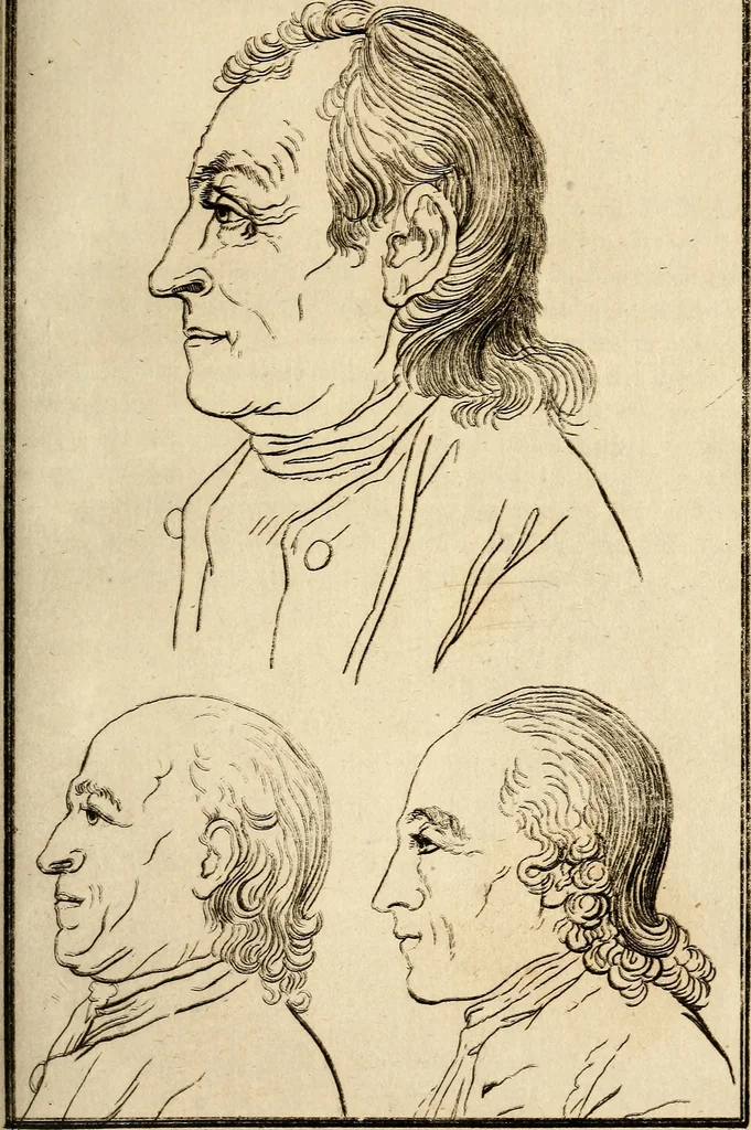 An illustration from Essays on physiognomy; calculated to extend the knowledge and the love of mankind, 1797, leaf 348