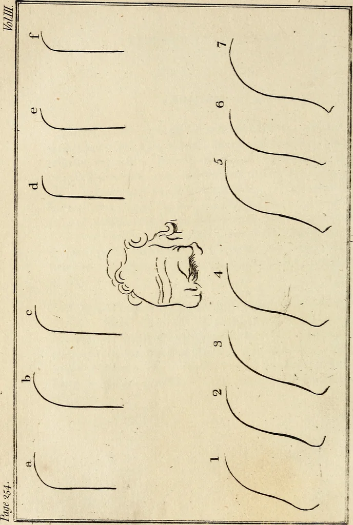 An illustration from Essays on physiognomy; calculated to extend the knowledge and the love of mankind, 1797, leaf 357