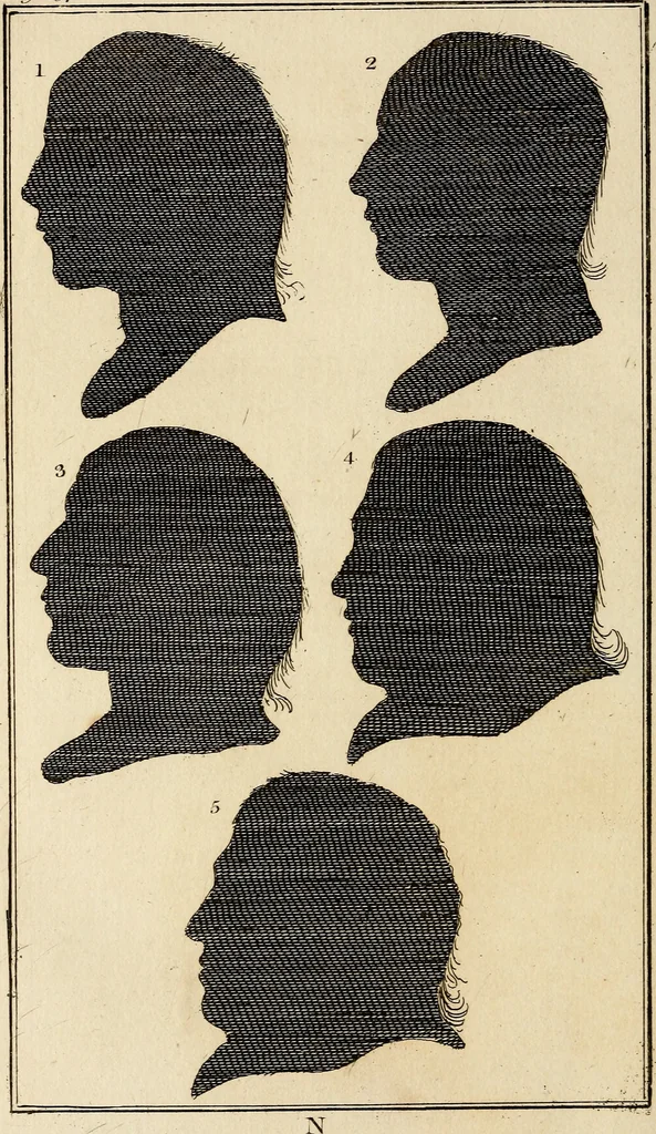 An illustration from Essays on physiognomy; calculated to extend the knowledge and the love of mankind, 1797, leaf 363