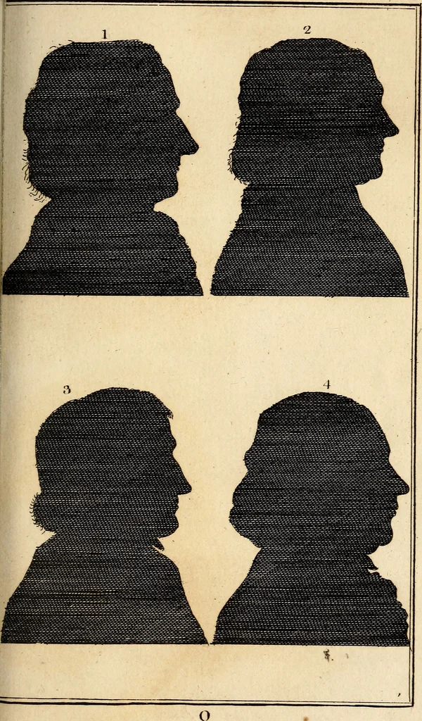 An illustration from Essays on physiognomy; calculated to extend the knowledge and the love of mankind, 1797, leaf 366