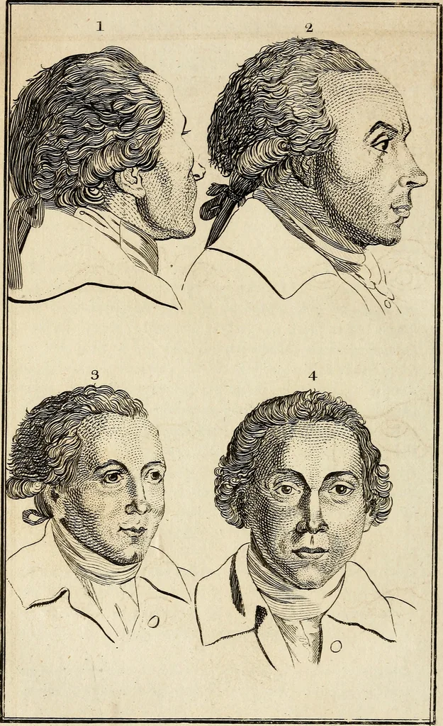 An illustration from Essays on physiognomy; calculated to extend the knowledge and the love of mankind, 1797, leaf 375