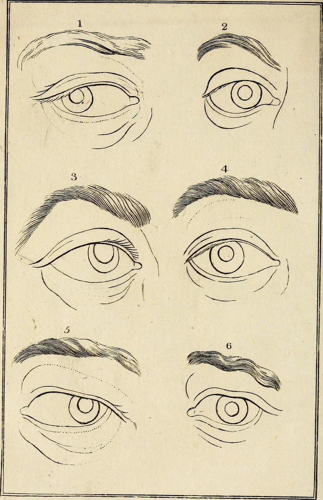 An illustration from Essays on physiognomy; calculated to extend the knowledge and the love of mankind, 1797, leaf 379