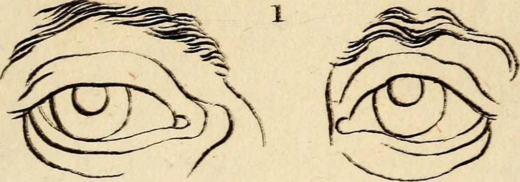 An illustration from Essays on physiognomy; calculated to extend the knowledge and the love of mankind, 1797, leaf 382