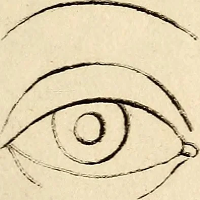 An illustration from Essays on physiognomy; calculated to extend the knowledge and the love of mankind, 1797, leaf 382