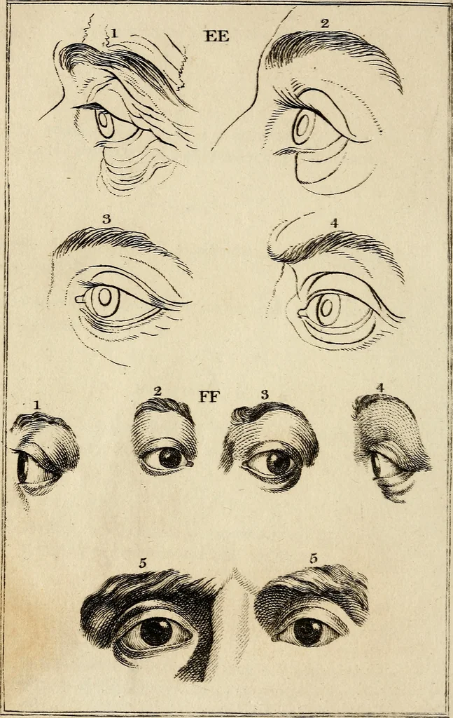 An illustration from Essays on physiognomy; calculated to extend the knowledge and the love of mankind, 1797, leaf 399