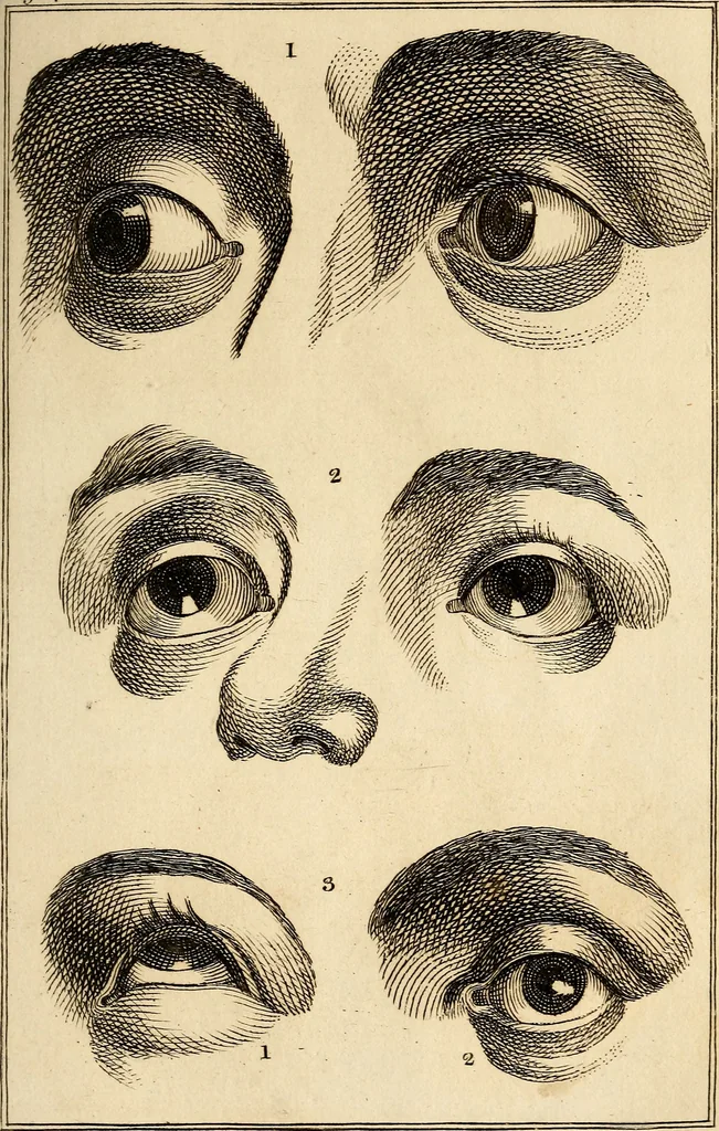 An illustration from Essays on physiognomy; calculated to extend the knowledge and the love of mankind, 1797, leaf 404