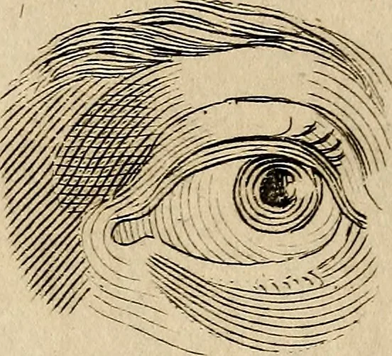 An illustration from Essays on physiognomy; calculated to extend the knowledge and the love of mankind, 1797, leaf 407