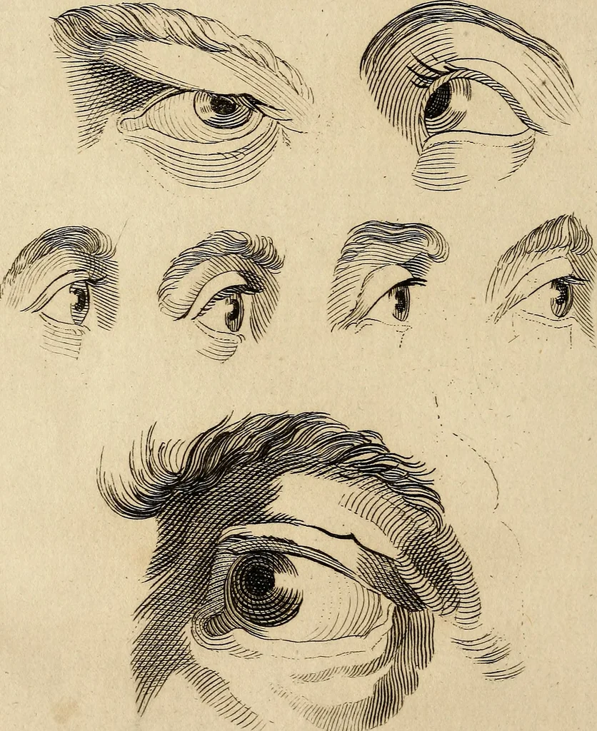 An illustration from Essays on physiognomy; calculated to extend the knowledge and the love of mankind, 1797, leaf 407