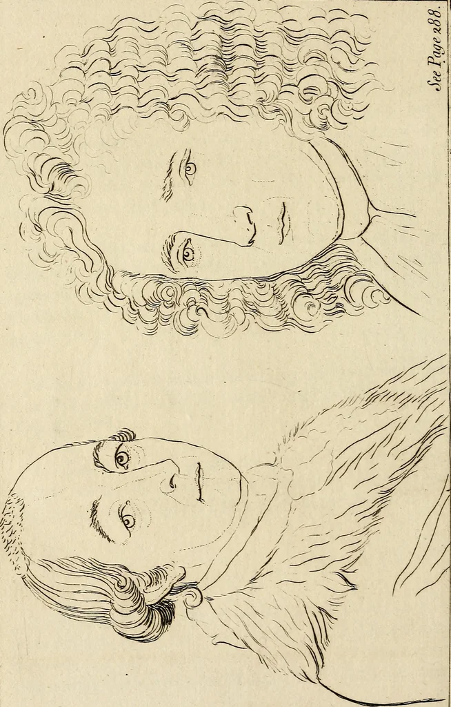 An illustration from Essays on physiognomy; calculated to extend the knowledge and the love of mankind, 1797, leaf 423
