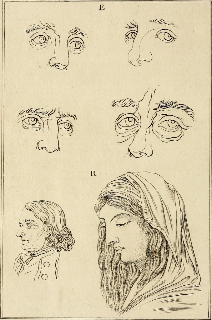 An illustration from Essays on physiognomy; calculated to extend the knowledge and the love of mankind, 1797, leaf 463