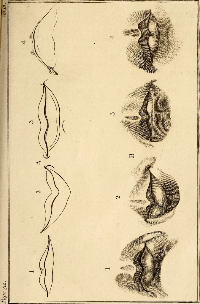 An illustration from Essays on physiognomy; calculated to extend the knowledge and the love of mankind, 1797, leaf 472
