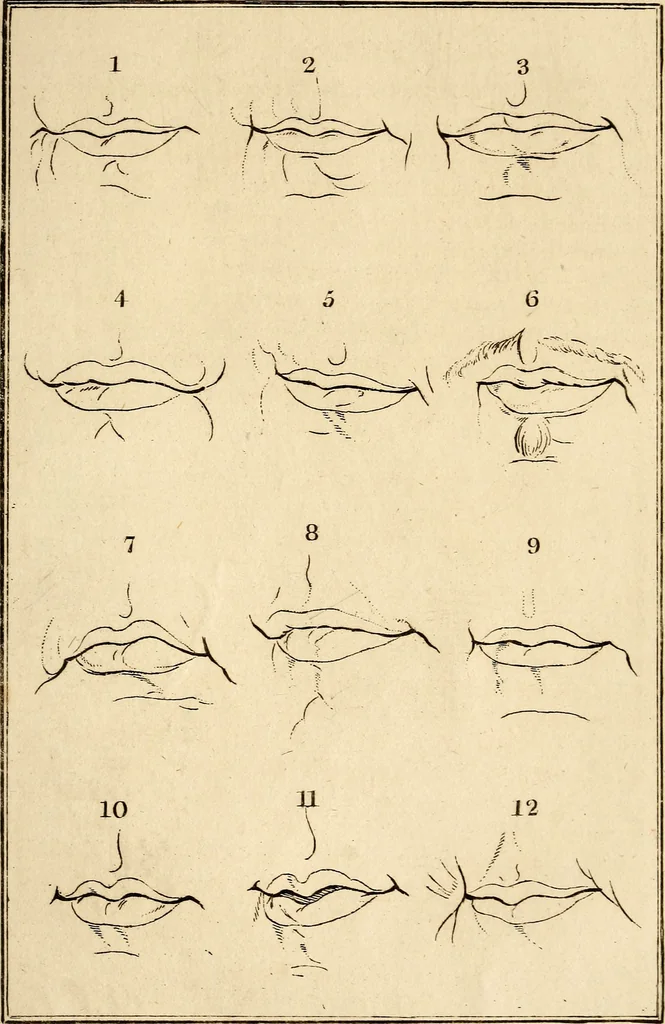 An illustration from Essays on physiognomy; calculated to extend the knowledge and the love of mankind, 1797, leaf 478