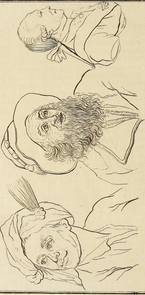 An illustration from Essays on physiognomy; calculated to extend the knowledge and the love of mankind, 1797, leaf 485