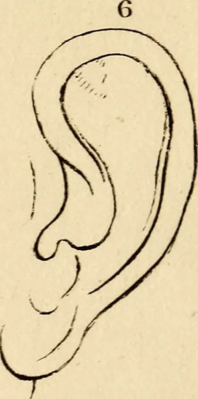 An illustration from Essays on physiognomy; calculated to extend the knowledge and the love of mankind, 1797, leaf 492