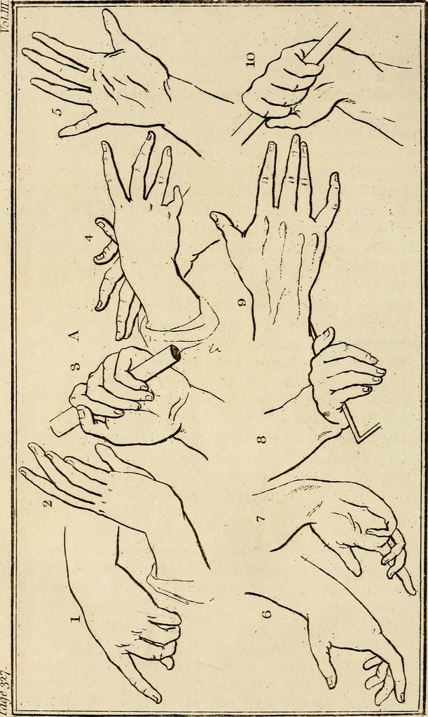 An illustration from Essays on physiognomy; calculated to extend the knowledge and the love of mankind, 1797, leaf 505