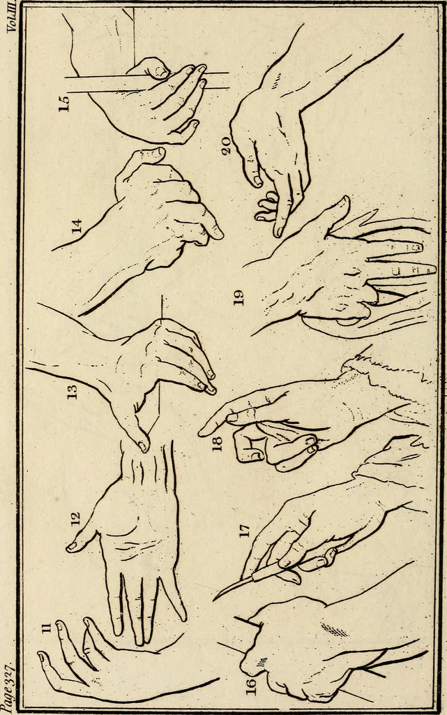 An illustration from Essays on physiognomy; calculated to extend the knowledge and the love of mankind, 1797, leaf 507