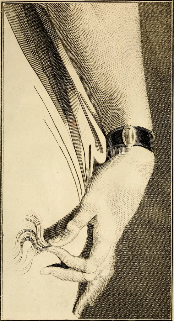 An illustration from Essays on physiognomy; calculated to extend the knowledge and the love of mankind, 1797, leaf 510