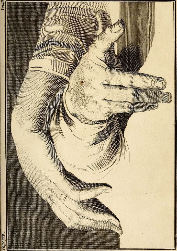 An illustration from Essays on physiognomy; calculated to extend the knowledge and the love of mankind, 1797, leaf 512