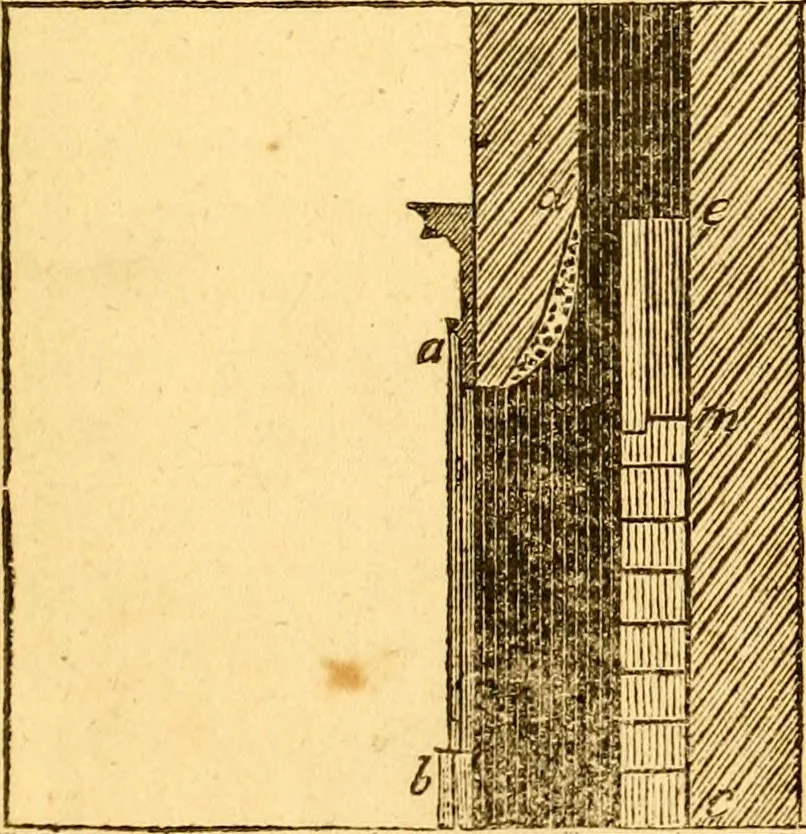 An illustration from Essays, political, economical, and philosophical, 1796, leaf 428
