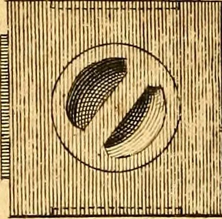 An illustration from Essays, political, economical, and philosophical, 1796, leaf 195