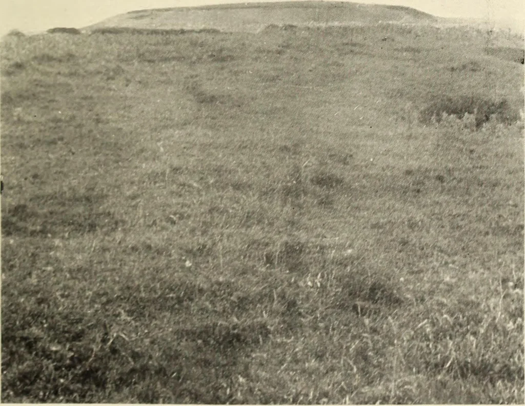 An illustration from Essays and studies presented to William Ridgeway on his sixtieth birthday, 6 August 1913, 1914, leaf 391