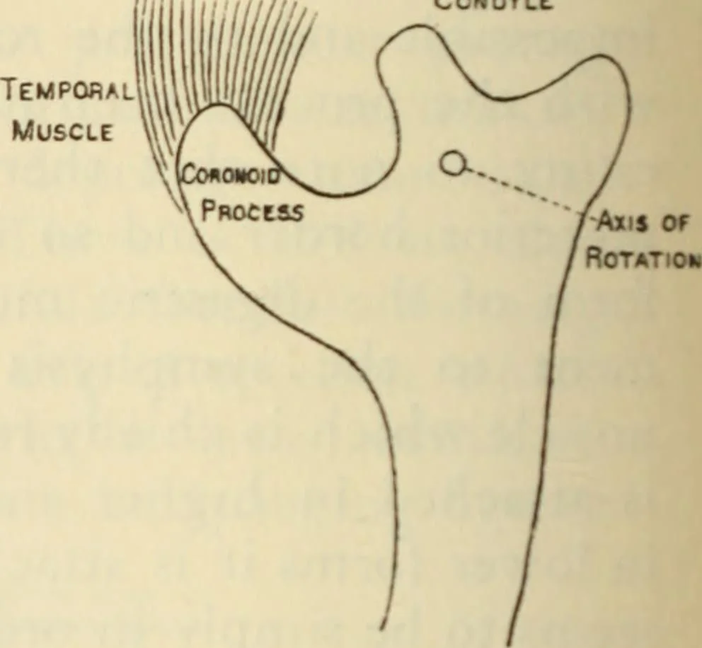 An illustration from Essays and studies presented to William Ridgeway on his sixtieth birthday, 6 August 1913, 1914, leaf 508