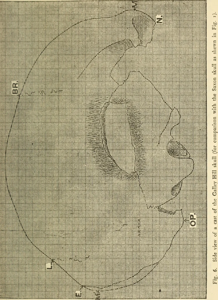 An illustration from Essays and studies presented to William Ridgeway on his sixtieth birthday, 6 August 1913, 1914, leaf 541