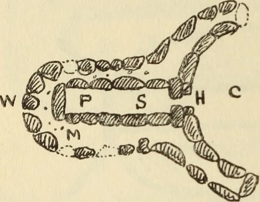 An illustration from Essays and studies presented to William Ridgeway on his sixtieth birthday, 6 August 1913, 1914, leaf 598