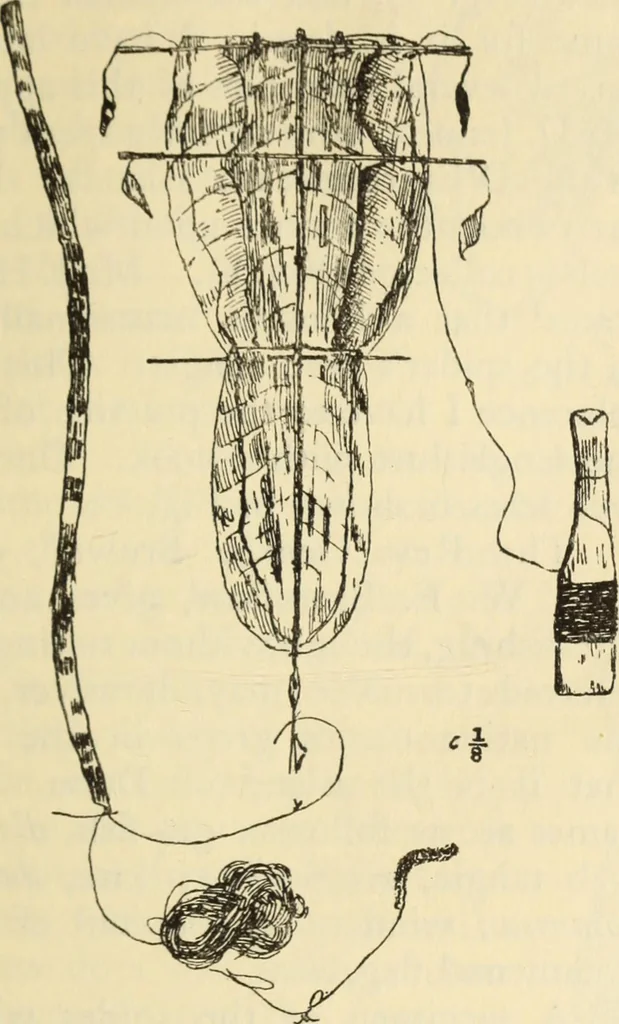 An illustration from Essays and studies presented to William Ridgeway on his sixtieth birthday, 6 August 1913, 1914, leaf 657