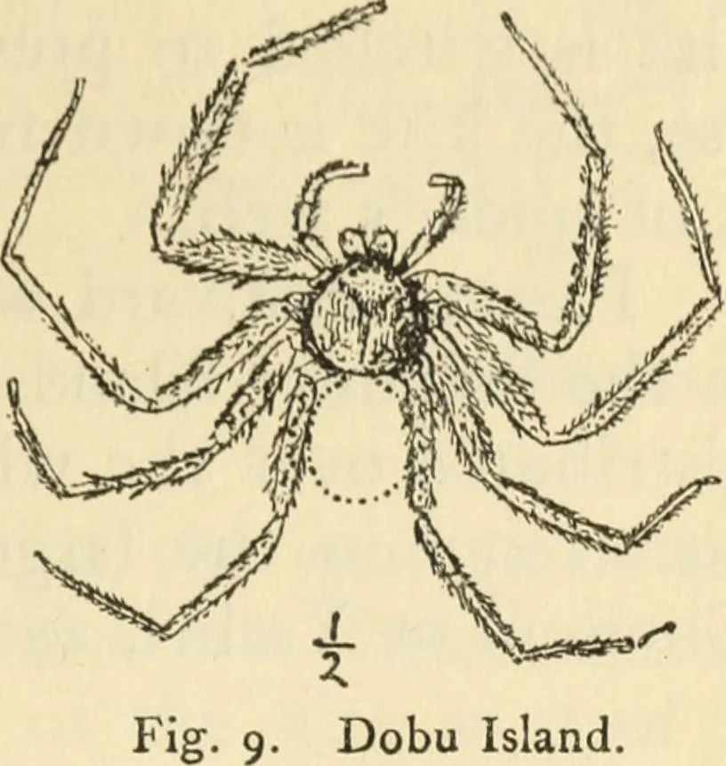 An illustration from Essays and studies presented to William Ridgeway on his sixtieth birthday, 6 August 1913, 1914, leaf 659