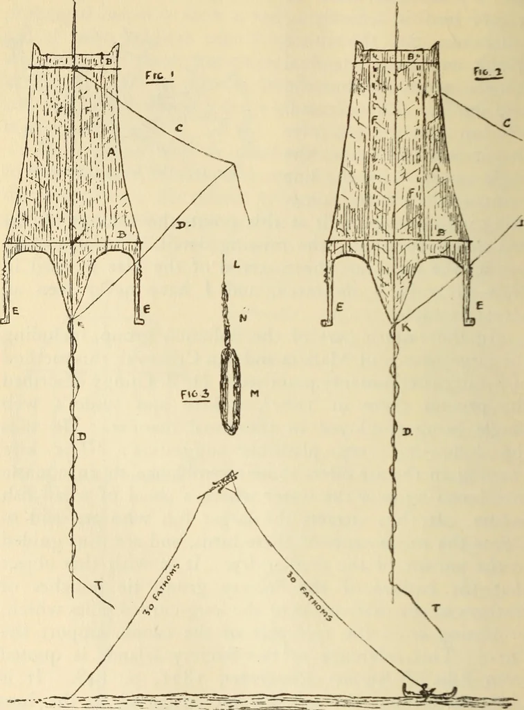 An illustration from Essays and studies presented to William Ridgeway on his sixtieth birthday, 6 August 1913, 1914, leaf 662