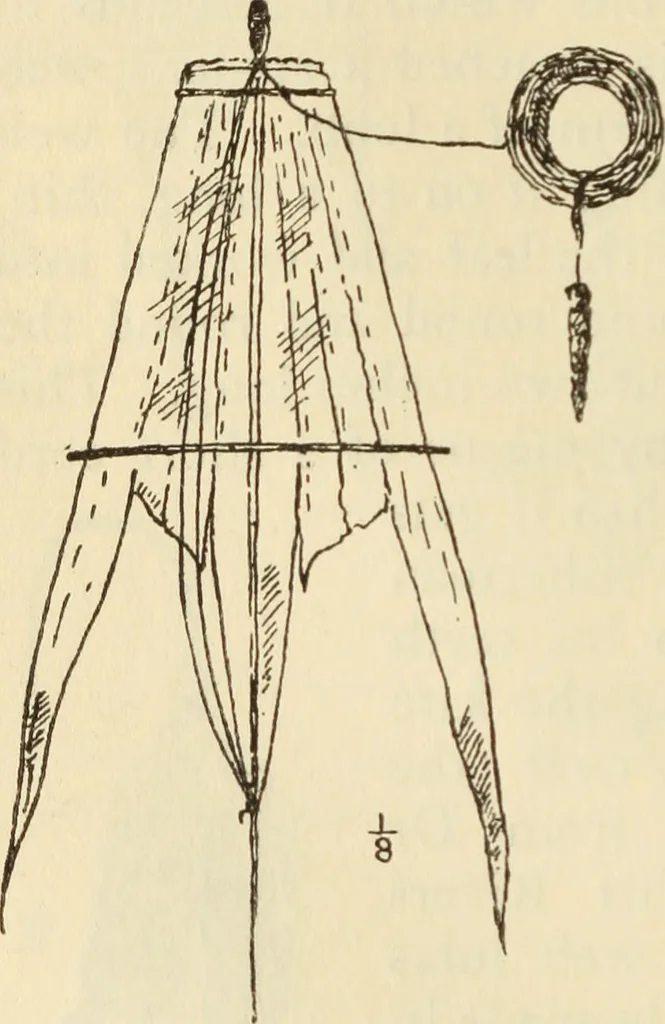 An illustration from Essays and studies presented to William Ridgeway on his sixtieth birthday, 6 August 1913, 1914, leaf 664