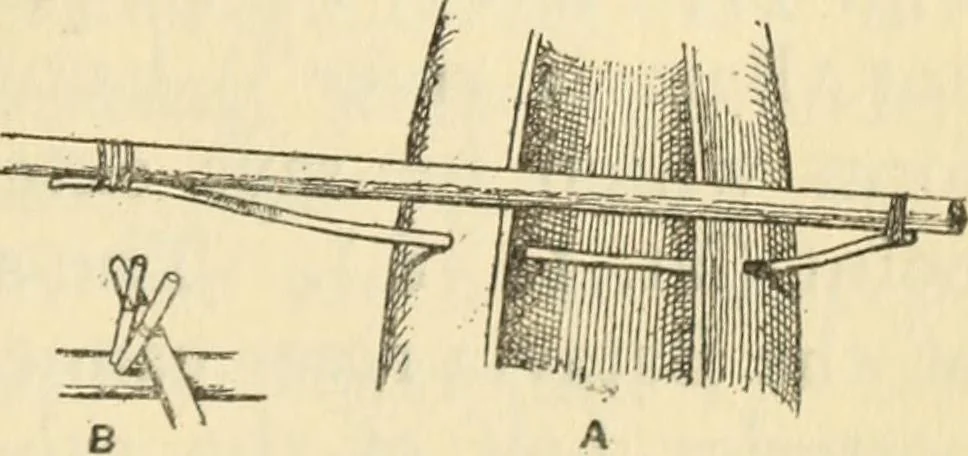 An illustration from Essays and studies presented to William Ridgeway on his sixtieth birthday, 6 August 1913, 1914, leaf 683