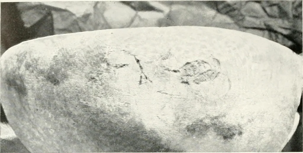 An illustration from Essays and studies presented to William Ridgeway on his sixtieth birthday, 6 August, 1913, 1913, leaf 320
