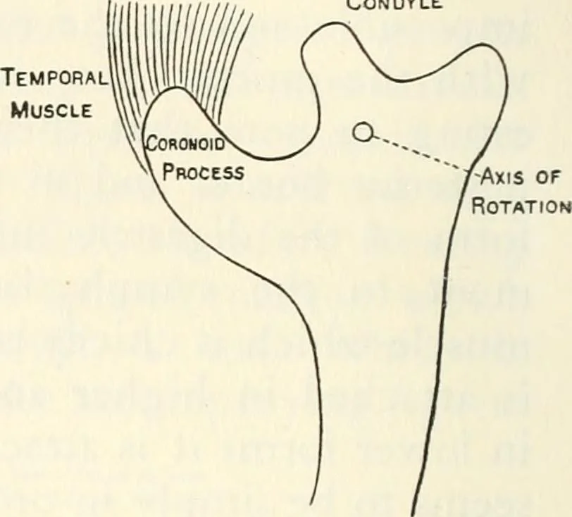 An illustration from Essays and studies presented to William Ridgeway on his sixtieth birthday, 6 August, 1913, 1913, leaf 508