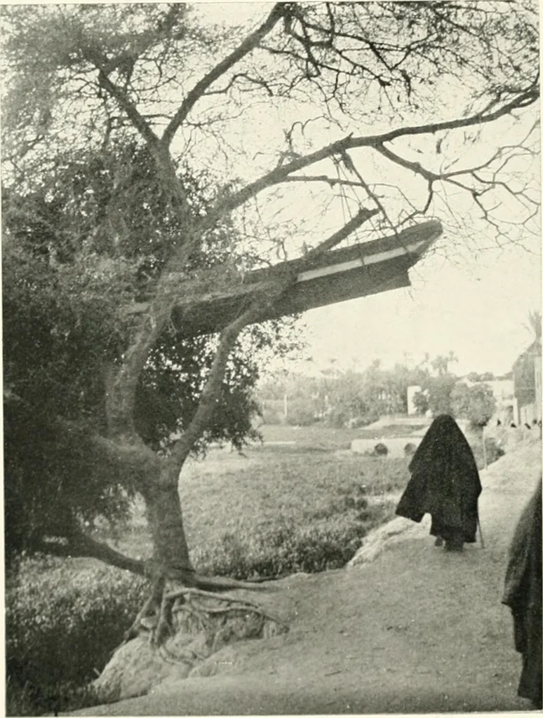 An illustration from Essays and studies presented to William Ridgeway on his sixtieth birthday, 6 August, 1913, 1913, leaf 518
