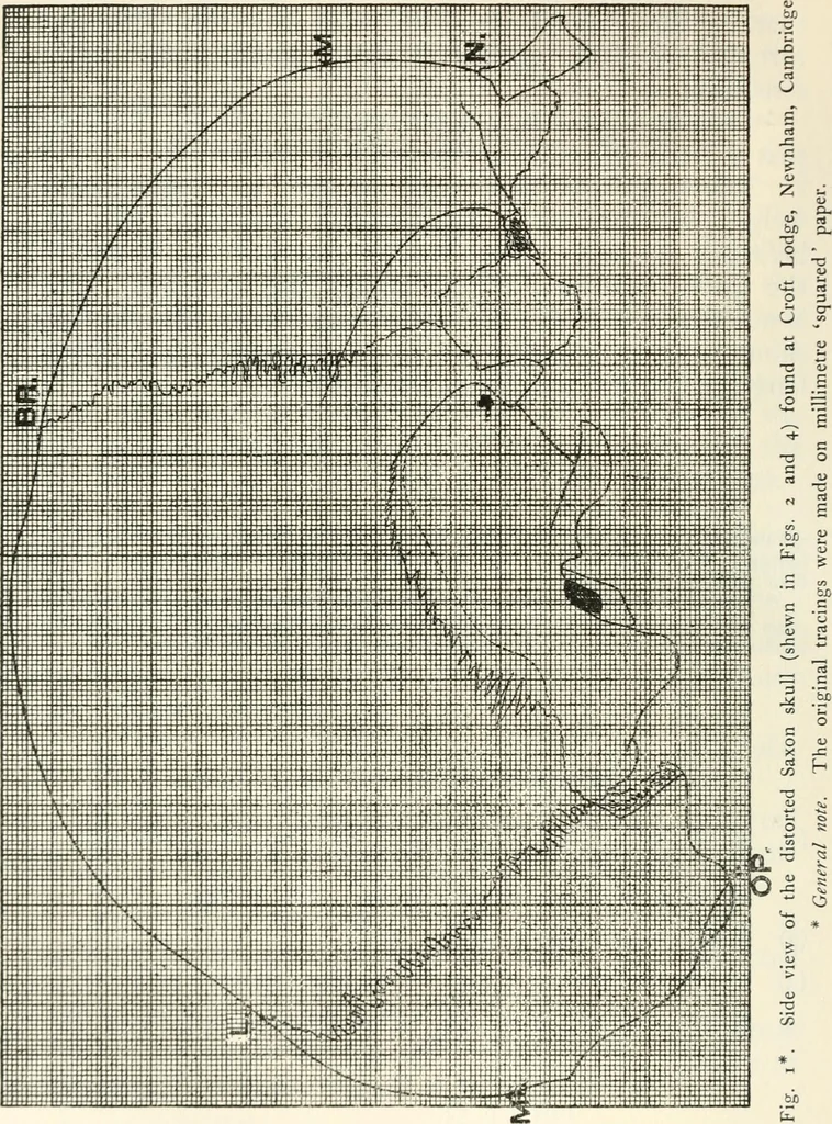 An illustration from Essays and studies presented to William Ridgeway on his sixtieth birthday, 6 August, 1913, 1913, leaf 536