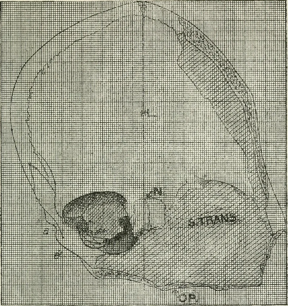 An illustration from Essays and studies presented to William Ridgeway on his sixtieth birthday, 6 August, 1913, 1913, leaf 537