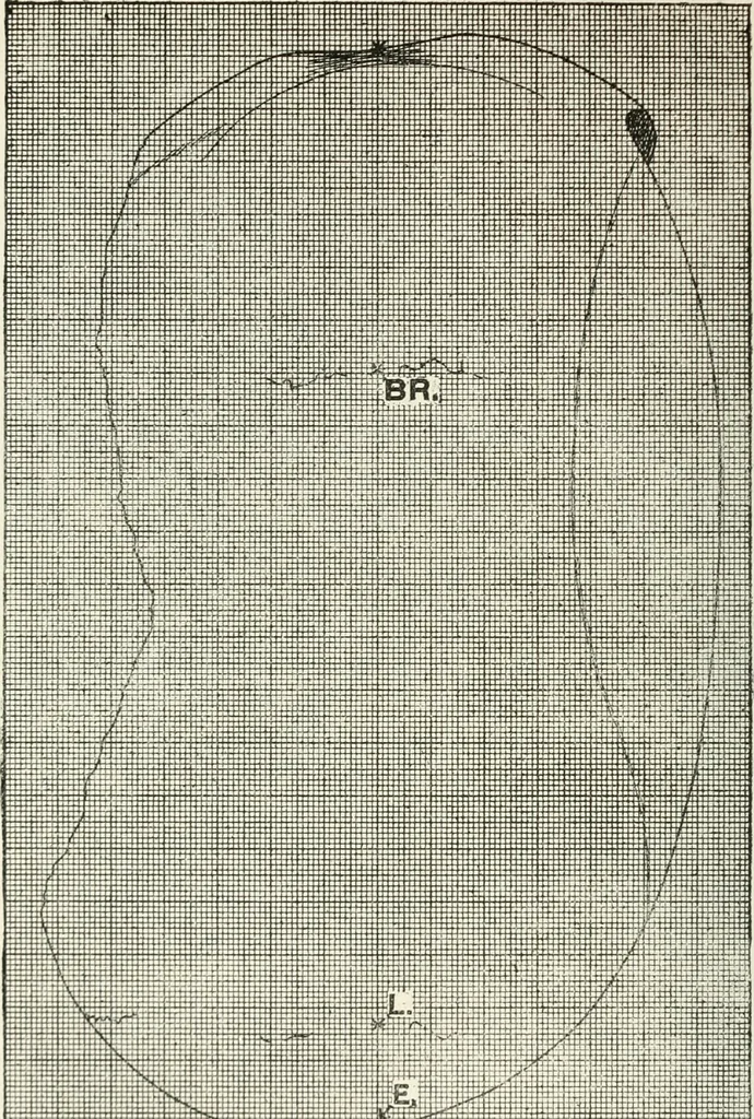 An illustration from Essays and studies presented to William Ridgeway on his sixtieth birthday, 6 August, 1913, 1913, leaf 540
