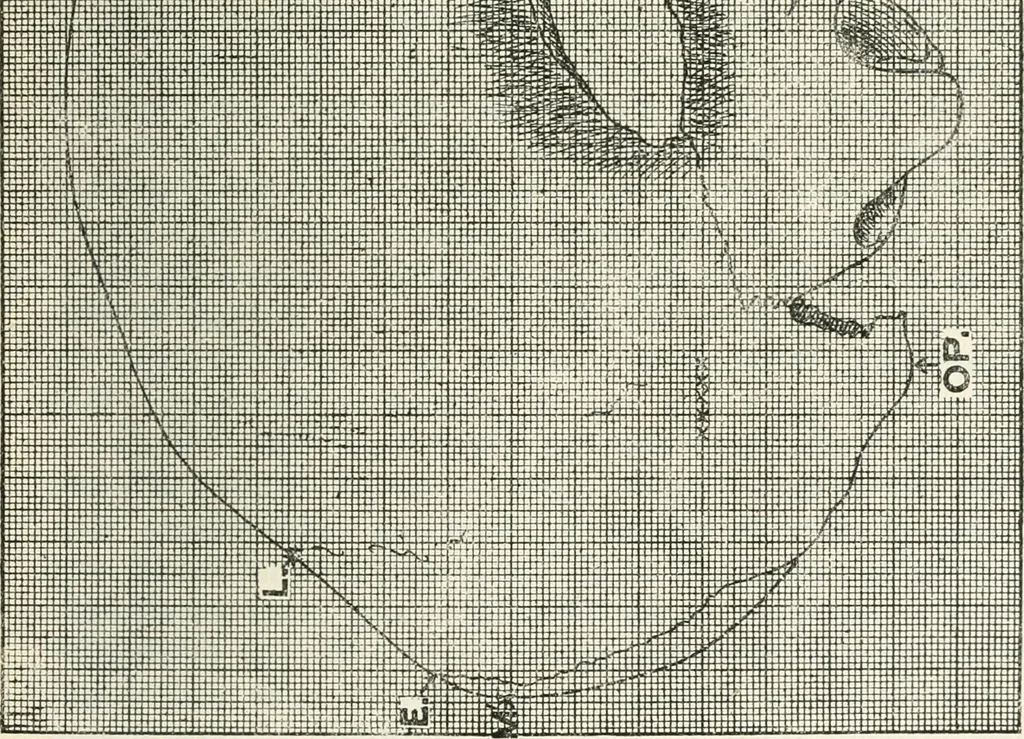An illustration from Essays and studies presented to William Ridgeway on his sixtieth birthday, 6 August, 1913, 1913, leaf 541