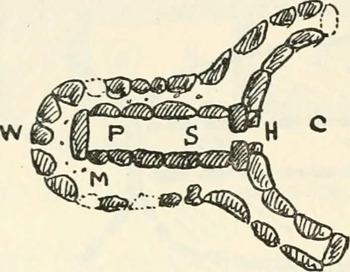 An illustration from Essays and studies presented to William Ridgeway on his sixtieth birthday, 6 August, 1913, 1913, leaf 598