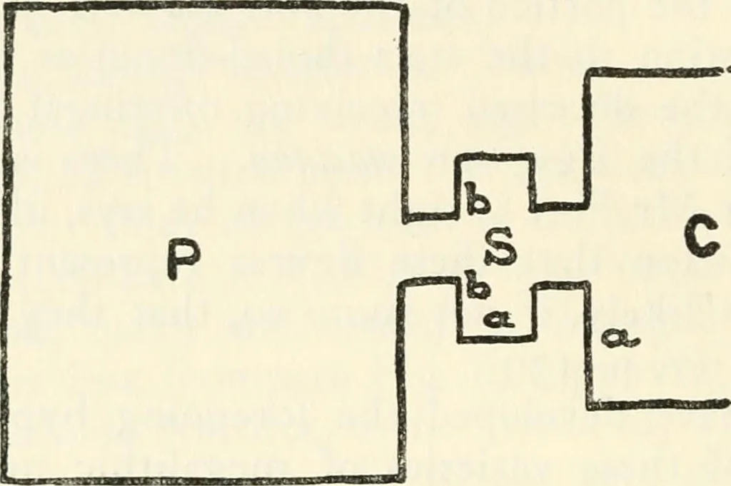 An illustration from Essays and studies presented to William Ridgeway on his sixtieth birthday, 6 August, 1913, 1913, leaf 602