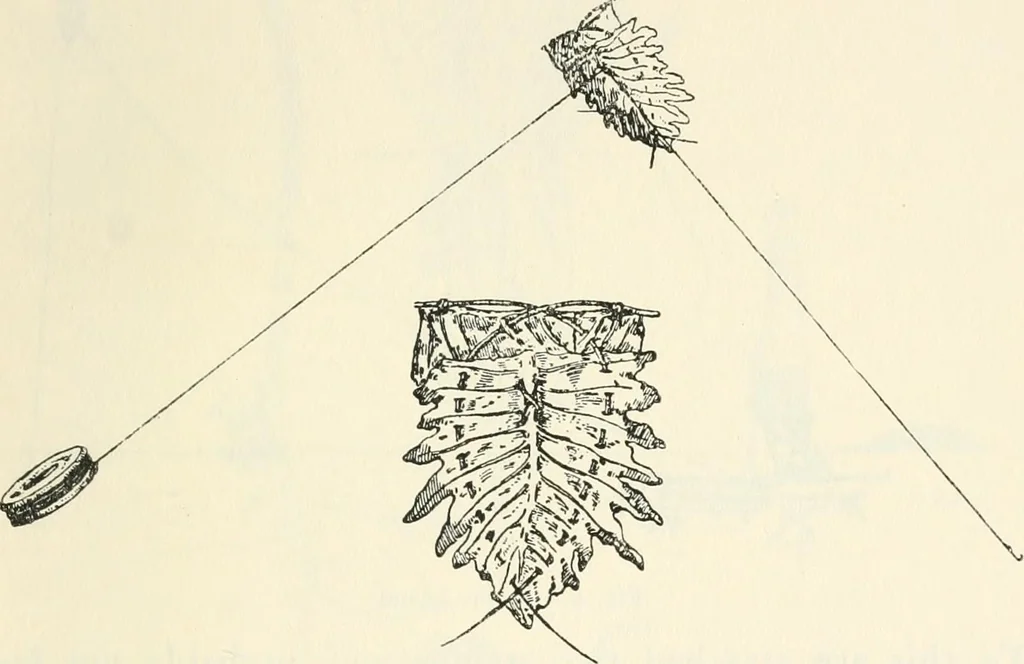 An illustration from Essays and studies presented to William Ridgeway on his sixtieth birthday, 6 August, 1913, 1913, leaf 655