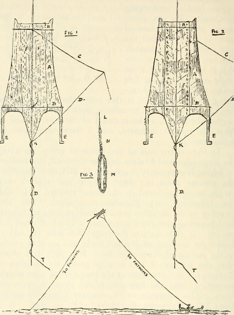 An illustration from Essays and studies presented to William Ridgeway on his sixtieth birthday, 6 August, 1913, 1913, leaf 662