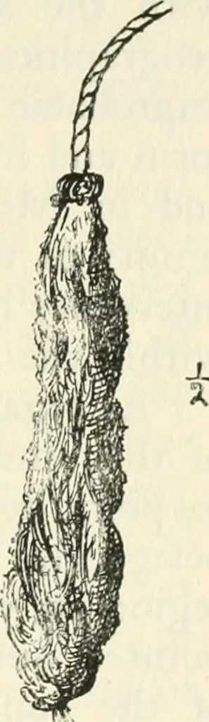 An illustration from Essays and studies presented to William Ridgeway on his sixtieth birthday, 6 August, 1913, 1913, leaf 667