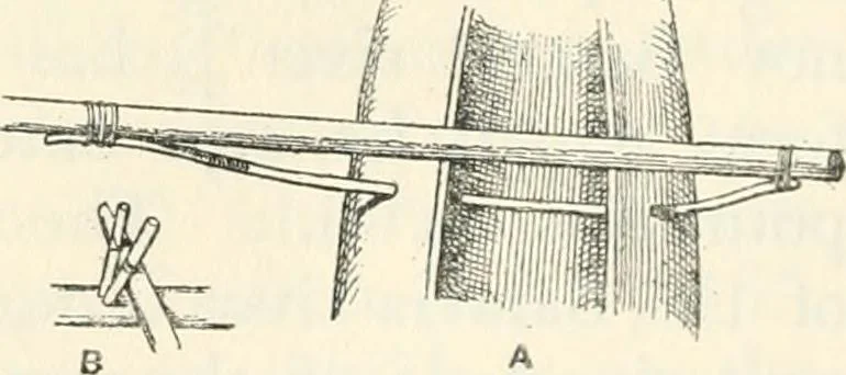An illustration from Essays and studies presented to William Ridgeway on his sixtieth birthday, 6 August, 1913, 1913, leaf 683