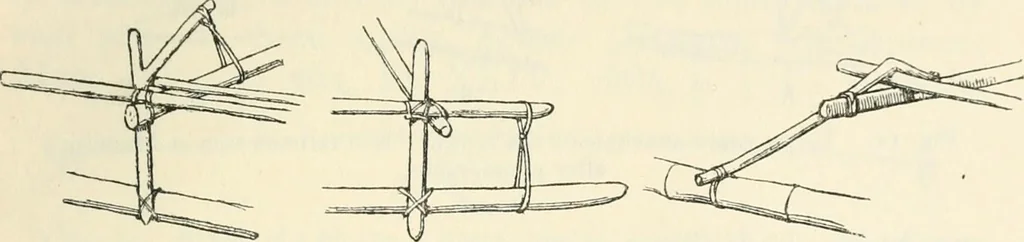 An illustration from Essays and studies presented to William Ridgeway on his sixtieth birthday, 6 August, 1913, 1913, leaf 691